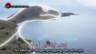 Law.of.Jungle.in.Komodo.360p