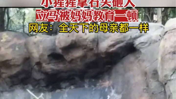 All moms in the world are the same, after all.