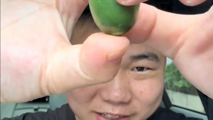 The Ice Wolf Immortal shows us what “snow-white and tender” really means. In the end, it’s clear the