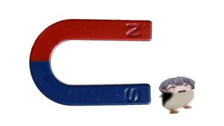 بعد أن انتهى المعلم من الفيزياء، أرسلني لحمل الحجارة 😭😭😭