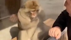 TRY DONT LAUGH # funnymoments # comedy # hilarious # Pranks # EpicFail # HumorSkits # Laugh