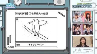 250706 Hinatazaka de Aimashou #320 Sub Indonesia