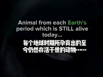 Animals that have survived to this day, nurtured by Earth