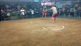 1cock ulutan SA Manila arena..