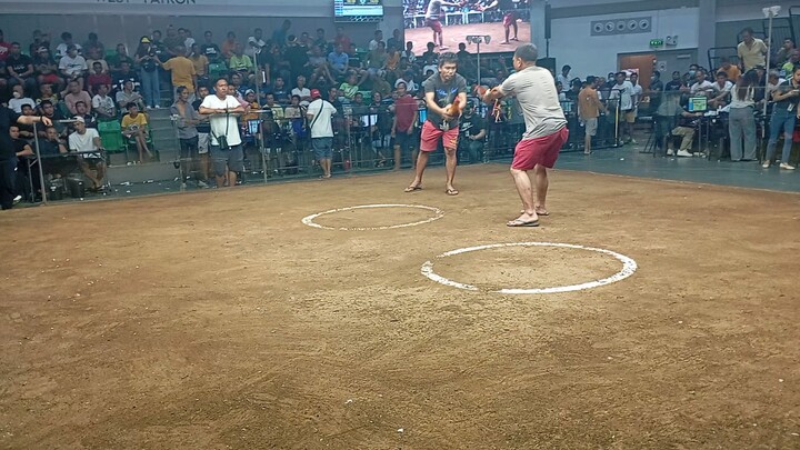 1cock ulutan SA Manila arena..