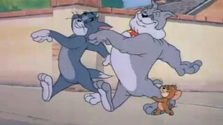 Bạn cùng phòng tôi mới gặp VS bạn cùng phòng tôi quen