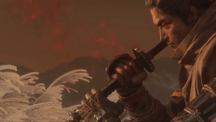 [Sekiro] It took two years to become the ultimate - I would like to dedicate this film to all player