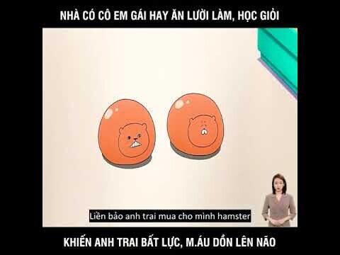 All in One _ Himouto Umaru Chan (Cô Em Gái Hai Mặt) Phần 01 _ Tóm Tắt Anime Hay - Review Anime Hay
