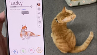 Kami membuat versi kucing dari Little Genius untuk perusahaan kucing