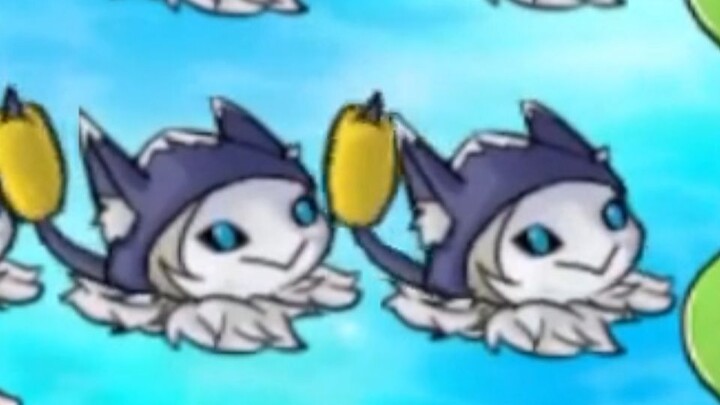 Kucing Penjaga Malam! Imut!