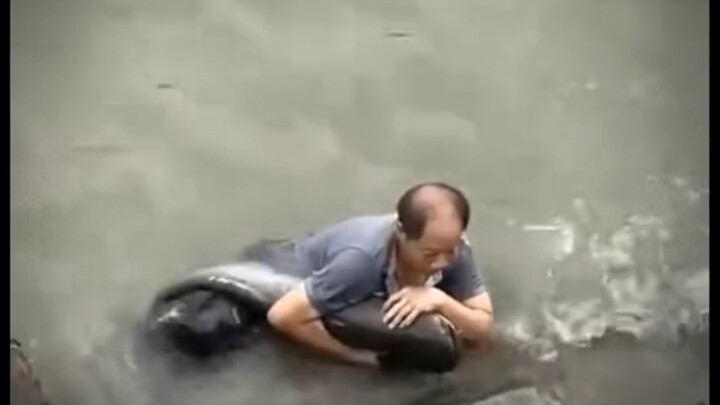 Lòng tốt không phân biệt loài vật