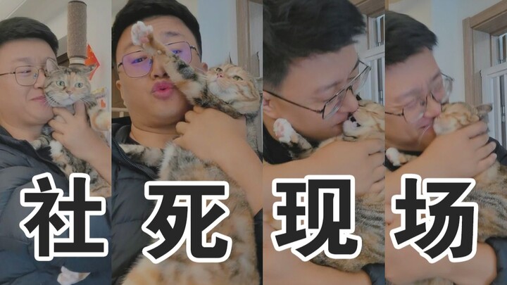 “Đỉnh cao thảm họa xã hội của mèo con”