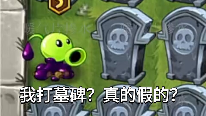 The more tombstones a cricket-fighting UP主's ultimate move breaks, the stronger the "big brother" be