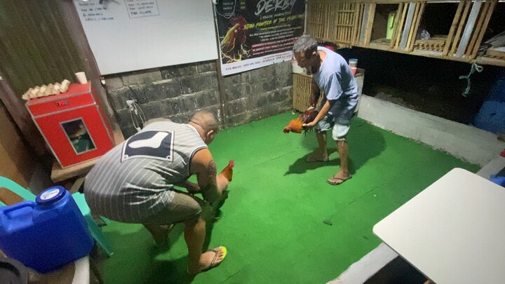 Rhxgb 8.mons vs gilmorexrh 8mons. Oct 12,2025 time:8:40pm