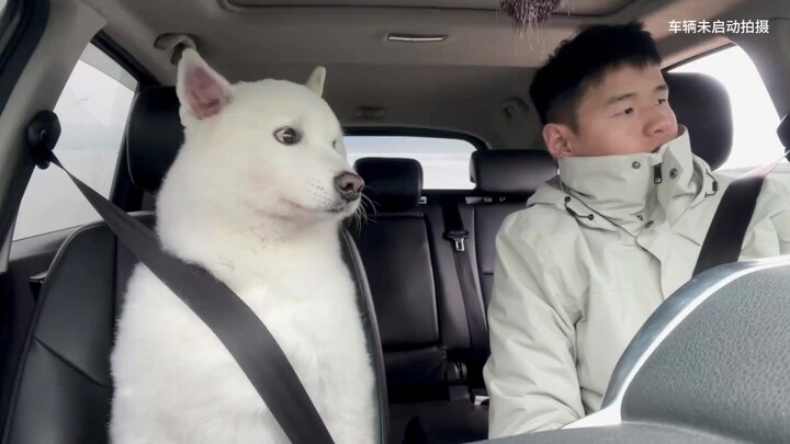 Daily Vlog 11
