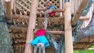 Help Me!! So sweet tiny Yaya help Toto to climb up the bamboo house