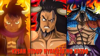 Kisah Dan Perjalanan Hidup Kaido Sang Makhluk Terkuat Dunia - One Piece