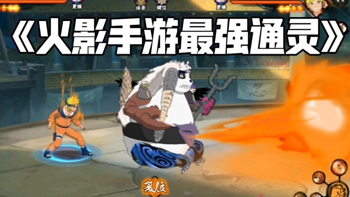 “Về việc tôi đã làm ra hiệu ứng kỹ năng của con gấu trúc dị thể”