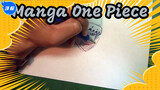 Kompilasi Manga One Piece | Video Repost_36