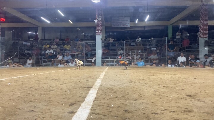 Last fight W pa champion Blueface hatch