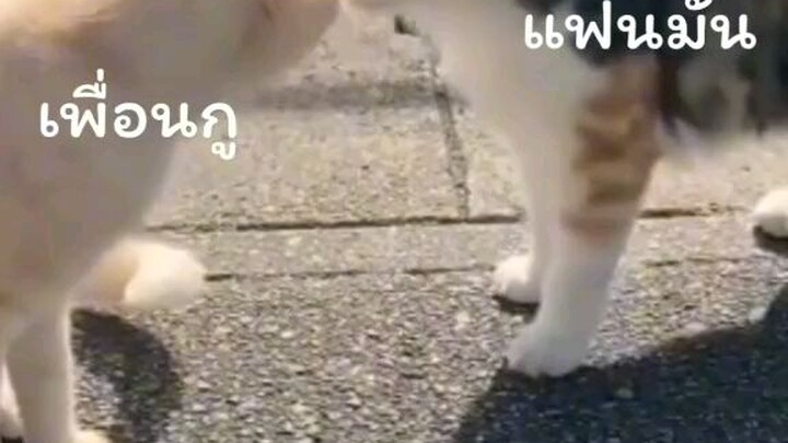 5555555555