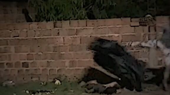 tmennya belike: kali ini gw selamatin Lo,Lo kan masi punya utang Ama gw🗿👍