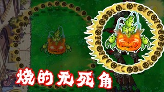 《 定 级 力 阶 》