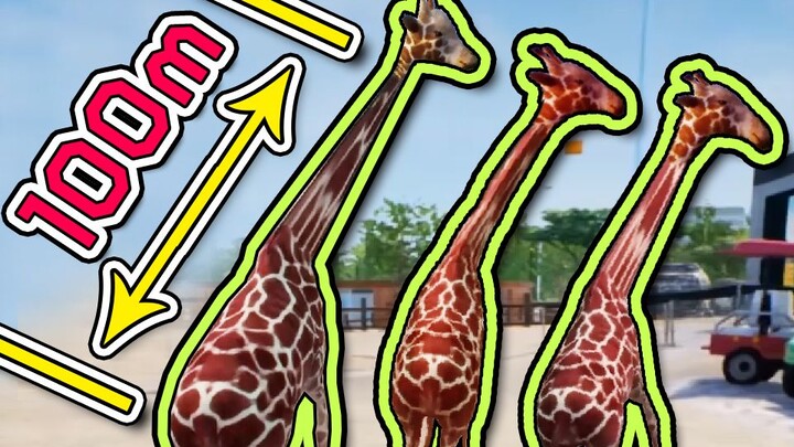 الصديق: لقد سئمنا من ألعابك الرديئة. أنا: لا، لم تسأموا بعد!