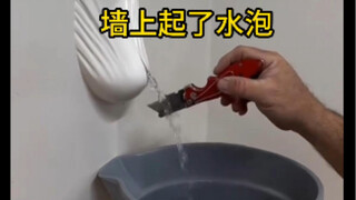 هناك بثور على الحائط. ما سبب ذلك؟