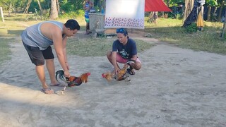 Sparring #3