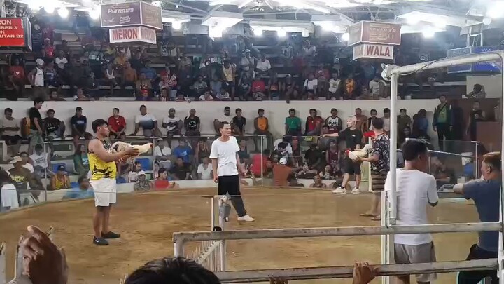 1fight white choco X kanaway win