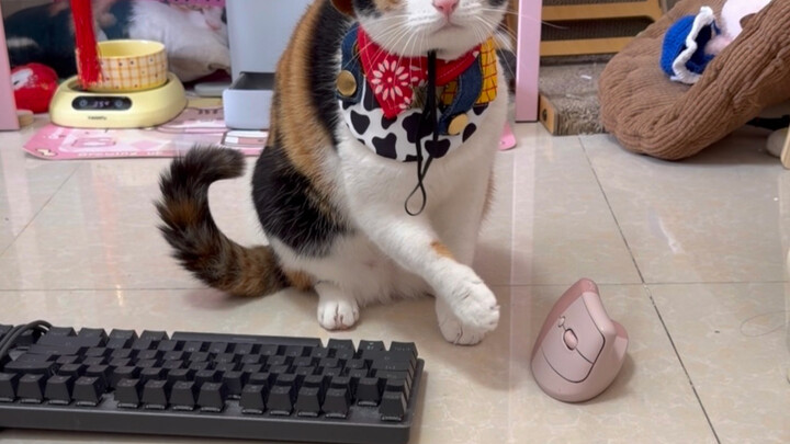 Day 1: Striving to Become an Esports Pro