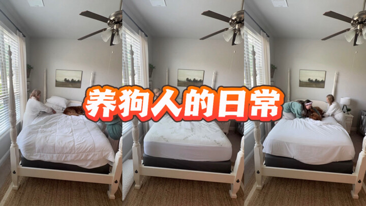 😂 Cara pemilik anjing ganti seprai: