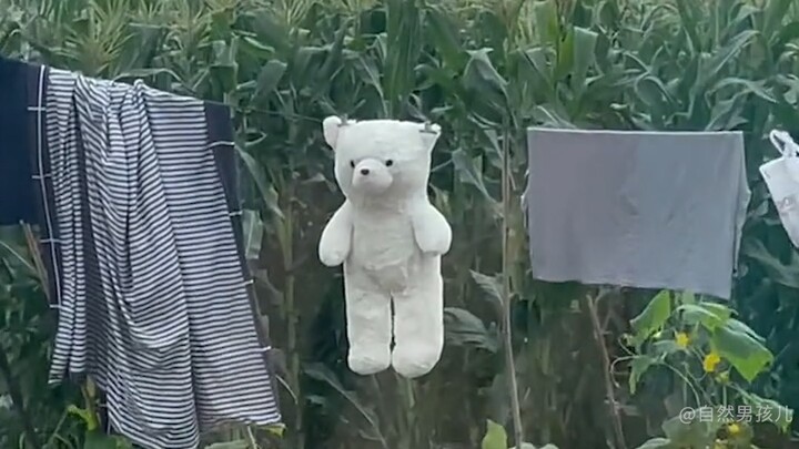 “เราจะไปที่ไหนกัน? ความจริงแล้วมันไม่สำคัญเลย”