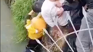 把那救人的救上来呀！救人的小哥和热心群众，给你们点赞