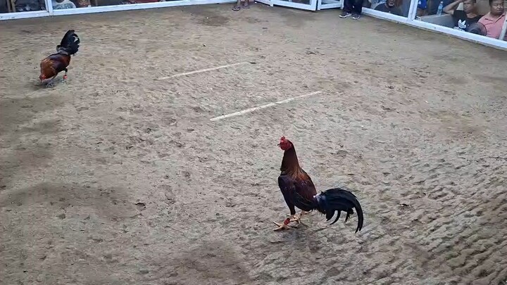 pare jets Raptor over YKH