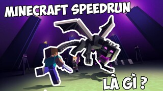 Luật Lệ Trong Về Minecraft Speedrun