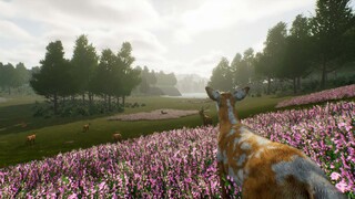 Deer Journey | GamePlay PC