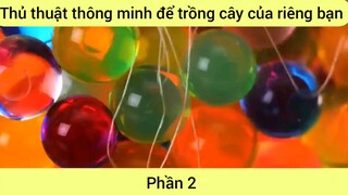 Thủ thuật thông minh để trồng cây của riêng bạn #2