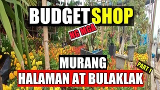 Murang HALAMAN at PANG GARDEN sa Guiguinto Bulacan| BULACAN Edition