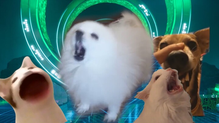 ⚡Savage⚡ But this is sung by a dog