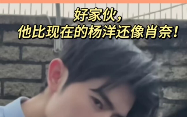 Wow, he looks even more like Xiao Nai than Yang Yang does now!