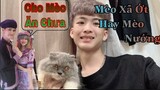 [Vlog] Một Ngày Vất Vã Của Thông Gaming Với Chú Mèo 32 Triệu Của Chú Bạc