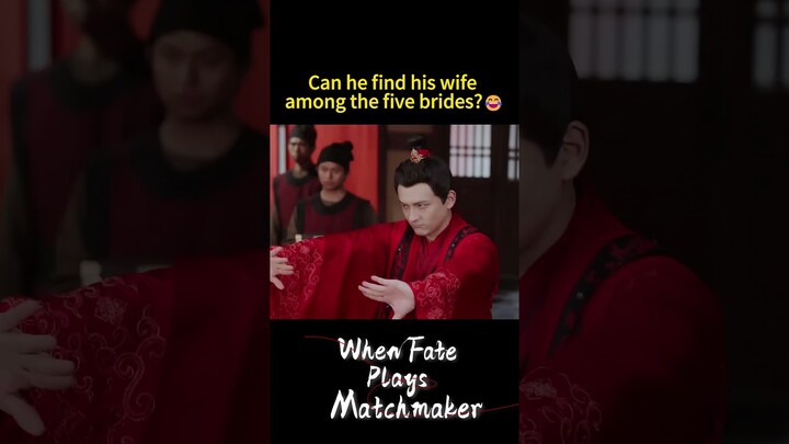 😂 | When Fate Plays Matchmaker | YOUKU