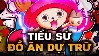 ONE PIECE | CHOPPER LÀ AI? KHI TUẦN LỘC HỌC LÀM BÁC SĨ!