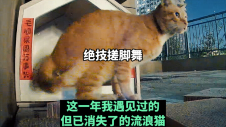 上天常给人怜悯之心，却不赐人拯救苍生之力。