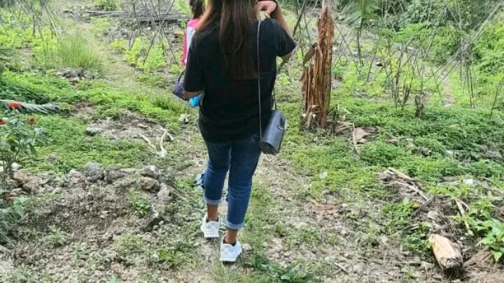 Amazing experience