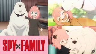 Anya x Bond Cute & Funny Moments | SPY x FAMILY