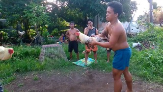 backyard boys