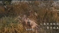 EP01